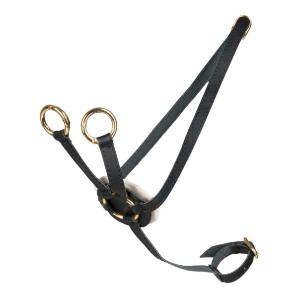 Martingal til kæphest i sort med guld spænder fra Cheval Roi