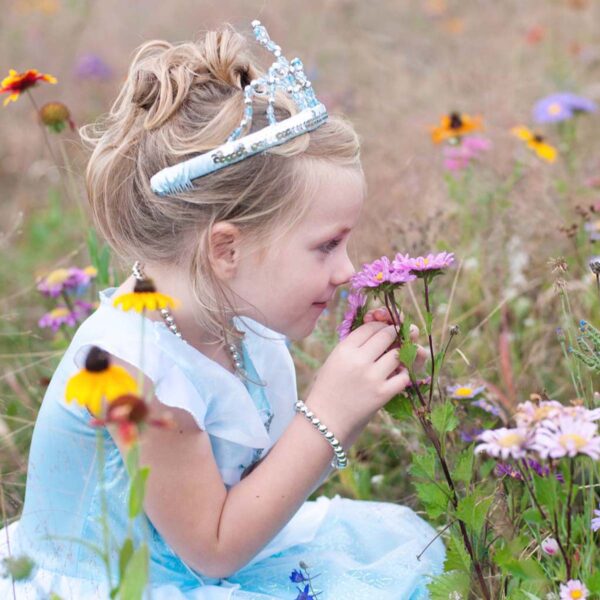 prinsessekrone, diadem og tiara til rolleleg