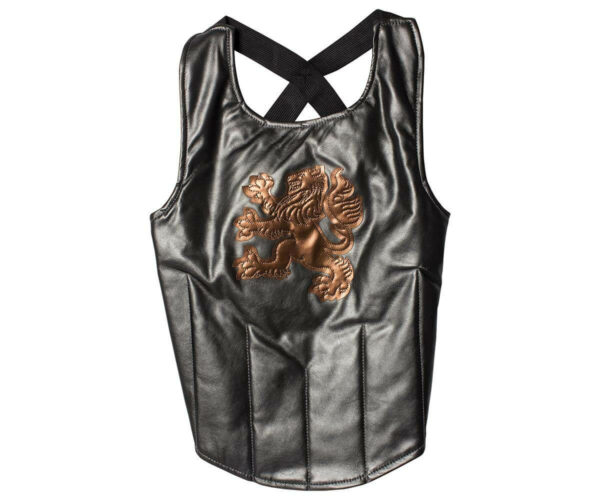 Ridder brynje grå med løve emblem