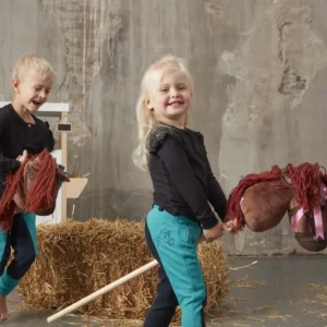 by Astrup kæpheste træning